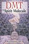 Rick Strassman: Dmt: The Spirit Molecule: A Doctor's Revolutionary Research Into the Biology of Near-Death and Mystical Experiences, Buch