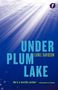 Lionel Davidson: Under Plum Lake, Buch