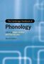 The Cambridge Handbook of Phonology, Buch