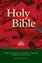 Text: "Holy Bible", "NRSV", "New Revised Standard Version Updated Edition", "British Text". Hintergrund: Rote Blätter.