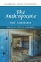 Oberer Text: "The Anthropocene and Literature", "Edited by Tore Rye Andersen". Verfallener Raum mit Sand., Buch