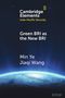 Text: "Cambridge Elements Indo-Pacific Security. Green BRI as the New BRI. Min Ye Jiaqi Wang." Globale Perspektive aus dem Weltall., Buch