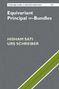 "Equivariant Principal ∞-Bundles," Autoren: Hisham Sati, Urs Schreiber, grauer Hintergrund, diagonaler grüner Streifen., Buch