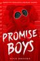 Nick Brooks: Promise Boys, Buch