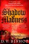 "Tuscany, 1540. Trapped with a killer, Aldo must face his fears in the... Shadow of Madness. Historische Stadtansicht darunter."