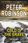 Titel: "Cold is the Grave" von Peter Robinson. Schneebedeckte Landschaft mit Steinen im Vordergrund., Buch