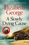 Text: "A Lynley and Havers Novel. Elizabeth George - A Slowly Dying Cause." Sandstrand mit Felsen und Meer im Hintergrund., Buch