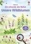 „Ich erkunde die Natur: Unsere Wildblumen“ mit „160 verschiedene Arten“. Illustration mit Blumen, Bienen, Schmetterlingen., Buch
