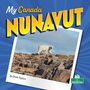 Sheila Yazdani: Nunavut, Buch