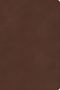 Csb Bibles By Holman: CSB Rainbow Study Bible, Brown Leathertouch, Indexed, Buch