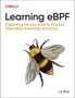 Liz Rice: Learning eBPF, Buch