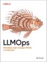 Abi Aryan: LLMOps, Buch