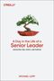 Michael Lopp: A Day in the Life of a Senior Leader, Buch