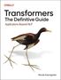 Nicole Koenigstein: Transformers: The Definitive Guide, Buch