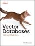 Nitin Borwankar: Vector Databases, Buch