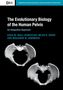 Cara M. Wall-Scheffler: The Evolutionary Biology of the Human Pelvis: An Integrative Approach, Buch