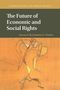 Titel: The Future of Economic and Social Rights. Herausgeber: Katharine G. Young. Beige Illustration von abstrakten Figuren., Buch