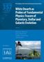 : White Dwarfs as Probes of Fundamental Physics (Iau S357): Tracers of Planetary, Stellar and Galactic Evolution, Buch