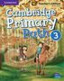 Simon Cupit: Cambridge Primary Path Level 3 Teacher's Edition, Buch