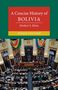 Herbert S. Klein: A Concise History of Bolivia, Buch