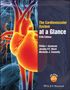 Jeremy P. T. Ward: The Cardiovascular System at a Glance, Buch