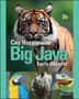 Cay S Horstmann: Big Java, Buch