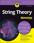 Andrew Zimmerman Jones: String Theory For Dummies, Buch