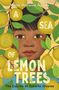 María Dolores Águila: A Sea of Lemon Trees, Buch