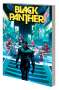 John Ridley: Black Panther by John Ridley Vol. 3: All This and the World, Too, Buch