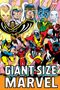 Len Wein: Giant-Size Marvel Omnibus Dave Cockrum Cover, Buch