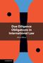 Alice Ollino: Due Diligence Obligations in International Law, Buch
