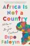 Dipo Faloyin: Africa Is Not a Country, Buch
