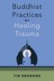 "Buddhist Practices for Healing Trauma" von Tim Desmond. Silhouette eines meditierenden Buddha, hellblauer Hintergrund., Buch