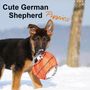 Petra Schiller: Cute German Shepherd Puppies (Wall Calendar 2020 300 × 300 mm Square), Div.