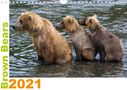 Max Steinwald: Brown Bears 2021 UK-Version (Wall Calendar 2021 DIN A4 Landscape), KAL