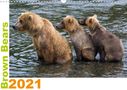 Max Steinwald: Brown Bears 2021 UK-Version (Wall Calendar 2021 DIN A3 Landscape), KAL