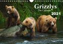 Max Steinwald: Grizzlys - The Calendar UK-Version (Wall Calendar 2021 DIN A4 Landscape), KAL