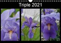 Ingrid Franz: Triple 2021 (Wall Calendar 2021 DIN A4 Landscape), KAL
