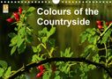 Richard Brooks: Colours of the Countryside (Wall Calendar 2021 DIN A4 Landscape), KAL