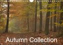 Marek Wasiel - philozoph: Autumn Collection (Wall Calendar 2021 DIN A4 Landscape), KAL