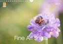 Isabella Kramer: Fine Art Snails (Wall Calendar 2021 DIN A4 Landscape), KAL