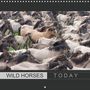 Angelika Keller: Wild horses today (Wall Calendar 2021 300 × 300 mm Square), KAL