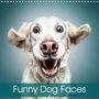 Manuela Und Stefan Kulpa: Funny Dog Faces (Wall Calendar 2021 300 × 300 mm Square), KAL