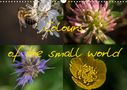Antun Marakovic: Colours of the small world (Wall Calendar 2021 DIN A3 Landscape), KAL