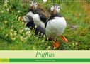 Babett Paul - Babett's Bildergalerie: Puffins - small birds very big (Wall Calendar 2021 DIN A3 Landscape), Div.