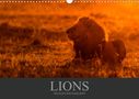 Christina Krutz: Lions Wildlife Photography (Wall Calendar 2021 DIN A3 Landscape), KAL