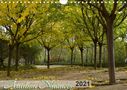 Martiniano Ferraz: Autumn Nuances (Wall Calendar 2021 DIN A4 Landscape), KAL