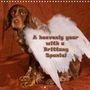 Mr. Mooseman Stefan Sattler: A heavenly year with a Brittany Spaniel (Wall Calendar 2021 300 × 300 mm Square), KAL