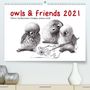 Stefan Kahlhammer: owls & friends 2021 (Premium, hochwertiger DIN A2 Wandkalender 2021, Kunstdruck in Hochglanz), Kalender