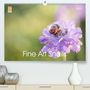 Isabella Kramer: Fine Art Snails (Premium, hochwertiger DIN A2 Wandkalender 2021, Kunstdruck in Hochglanz), KAL